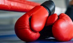 برگزاری اردوی جدید تیم ملی بوکس