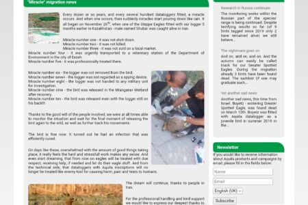 تقدیر سایت حیات وحش قزاقزستانی از تیمار عقاب در اداره حفاظت محیط زیست ایذه/بازگشت عقاب درمان شده به کشورش | وحید اورکی